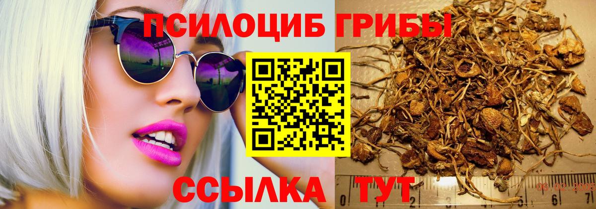 Каннабис  Вход с VPN  COCAIN  ГАШИШ  A PVP СК кристаллы  Меф МЯУ МЯУ   Верхний Уфалей  COCAIN 