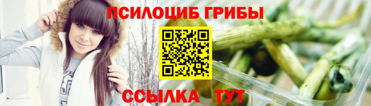 Псилоцибиновые грибы Psilocybine cubensis Верхний Уфалей